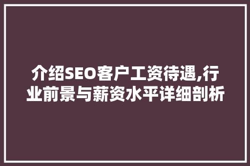 介绍SEO客户工资待遇,行业前景与薪资水平详细剖析 GoogleSEO