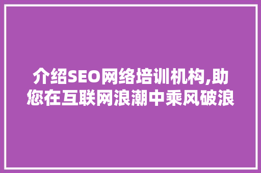 介绍SEO网络培训机构,助您在互联网浪潮中乘风破浪 百度SEO