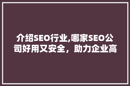 介绍SEO行业,哪家SEO公司好用又安全，助力企业高效提升排名 百度SEO