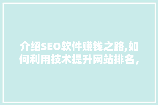 介绍SEO软件赚钱之路,如何利用技术提升网站排名，实现财富增长