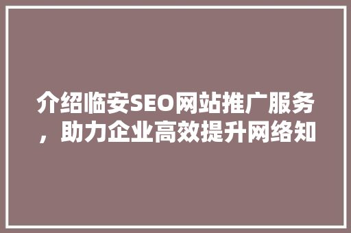 介绍临安SEO网站推广服务，助力企业高效提升网络知名度