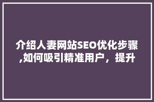 介绍人妻网站SEO优化步骤,如何吸引精准用户，提升网站流量