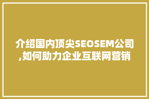 介绍国内顶尖SEOSEM公司,如何助力企业互联网营销新篇章 GoogleSEO