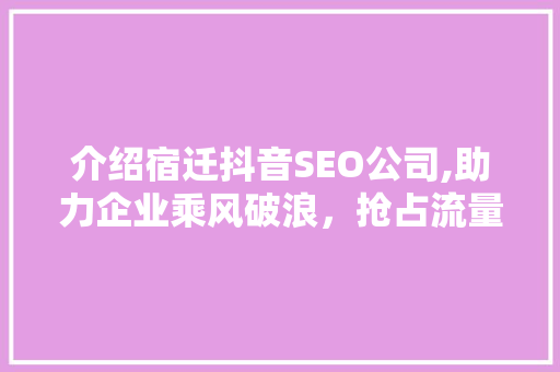 介绍宿迁抖音SEO公司,助力企业乘风破浪，抢占流量高地
