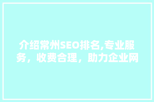 介绍常州SEO排名,专业服务，收费合理，助力企业网络营销新突破 必应SEO
