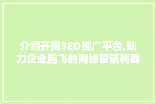 介绍开阳SEO推广平台,助力企业腾飞的网络营销利器 GoogleSEO