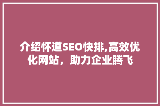 介绍怀道SEO快排,高效优化网站，助力企业腾飞 百度SEO