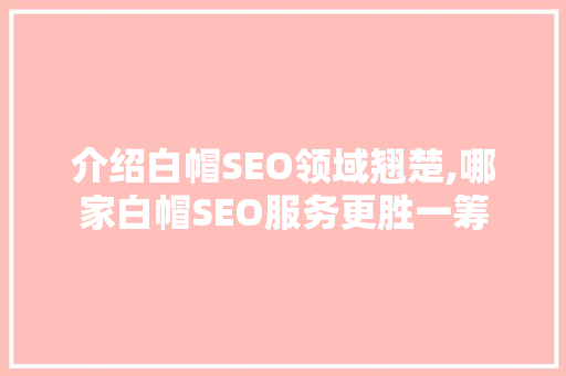 介绍白帽SEO领域翘楚,哪家白帽SEO服务更胜一筹 神马SEO