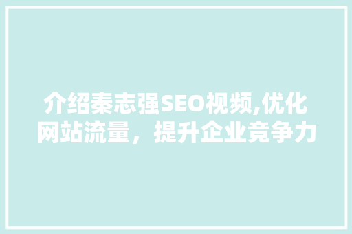 介绍秦志强SEO视频,优化网站流量，提升企业竞争力
