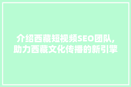 介绍西藏短视频SEO团队,助力西藏文化传播的新引擎