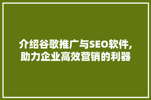 介绍谷歌推广与SEO软件,助力企业高效营销的利器 神马SEO