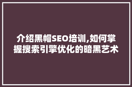 介绍黑帽SEO培训,如何掌握搜索引擎优化的暗黑艺术 百度SEO