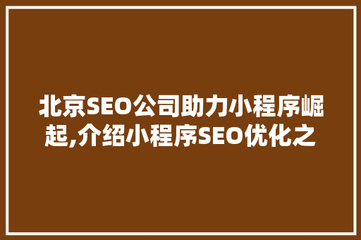 北京SEO公司助力小程序崛起,介绍小程序SEO优化之路 GoogleSEO