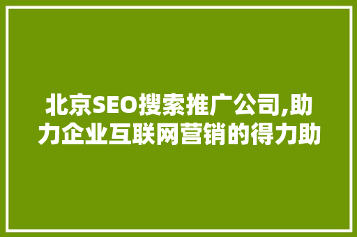 北京SEO搜索推广公司,助力企业互联网营销的得力助手