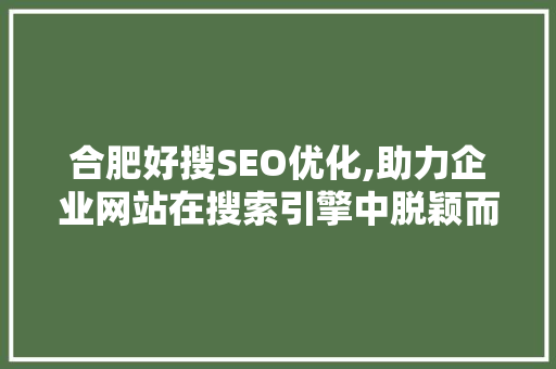 合肥好搜SEO优化,助力企业网站在搜索引擎中脱颖而出