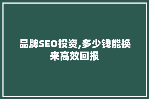 品牌SEO投资,多少钱能换来高效回报 必应SEO