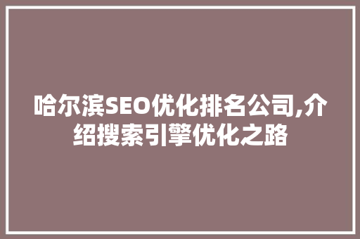哈尔滨SEO优化排名公司,介绍搜索引擎优化之路 必应SEO