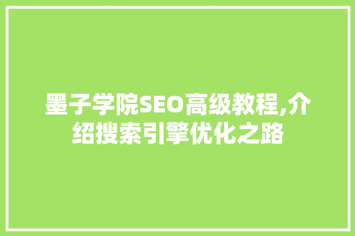 墨子学院SEO高级教程,介绍搜索引擎优化之路 GoogleSEO