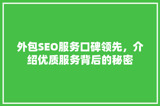 外包SEO服务口碑领先，介绍优质服务背后的秘密 必应SEO