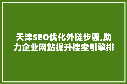 天津SEO优化外链步骤,助力企业网站提升搜索引擎排名 GoogleSEO