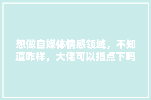 想做自媒体情感领域，不知道咋样，大佬可以指点下吗「为什么直播越来越不好做了呢」 想做自媒体情感领域，不知道咋样，大佬可以指点下吗「为什么直播越来越不好做了呢」 神马SEO