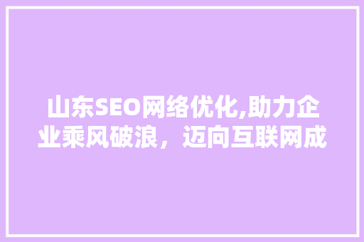 山东SEO网络优化,助力企业乘风破浪，迈向互联网成功之路 必应SEO