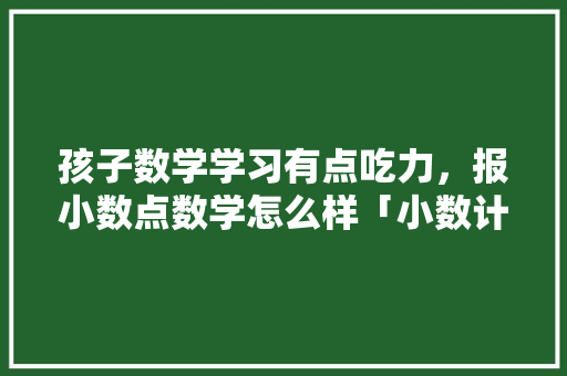 孩子数学学习有点吃力，报小数点数学怎么样「小数计算为什么小数点要对齐」 孩子数学学习有点吃力，报小数点数学怎么样「小数计算为什么小数点要对齐」 神马SEO
