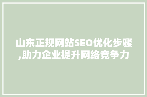 山东正规网站SEO优化步骤,助力企业提升网络竞争力 必应SEO
