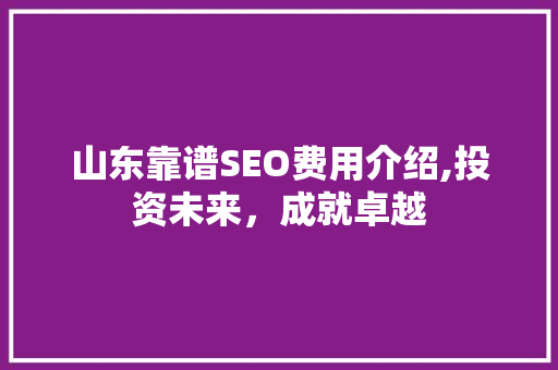 山东靠谱SEO费用介绍,投资未来，成就卓越 百度SEO