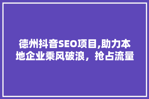德州抖音SEO项目,助力本地企业乘风破浪，抢占流量高地 GoogleSEO