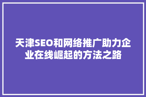天津SEO和网络推广助力企业在线崛起的方法之路 百度SEO