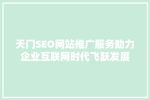 天门SEO网站推广服务助力企业互联网时代飞跃发展 必应SEO