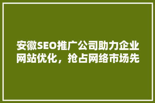 安徽SEO推广公司助力企业网站优化，抢占网络市场先机