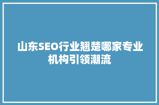 山东SEO行业翘楚哪家专业机构引领潮流 神马SEO