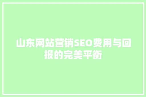 山东网站营销SEO费用与回报的完美平衡