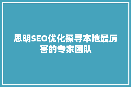 思明SEO优化探寻本地最厉害的专家团队