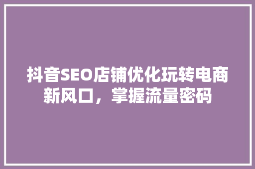 抖音SEO店铺优化玩转电商新风口，掌握流量密码 必应SEO