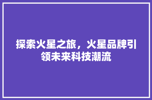 探索火星之旅，火星品牌引领未来科技潮流 百度SEO