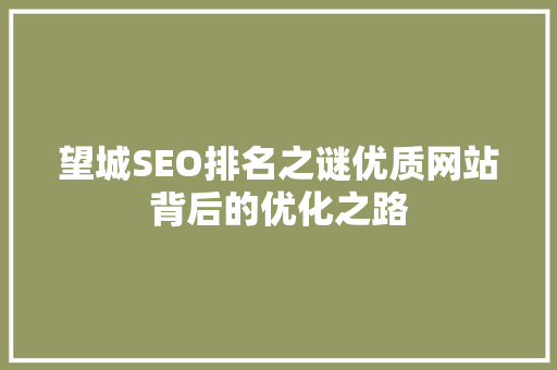 望城SEO排名之谜优质网站背后的优化之路 必应SEO