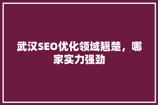 武汉SEO优化领域翘楚，哪家实力强劲