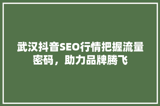 武汉抖音SEO行情把握流量密码，助力品牌腾飞 搜狗SEO