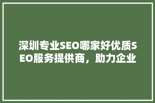 深圳专业SEO哪家好优质SEO服务提供商，助力企业网络营销腾飞 百度SEO