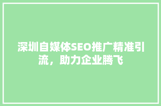 深圳自媒体SEO推广精准引流，助力企业腾飞 神马SEO