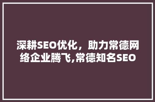 深耕SEO优化，助力常德网络企业腾飞,常德知名SEO优化公司 神马SEO