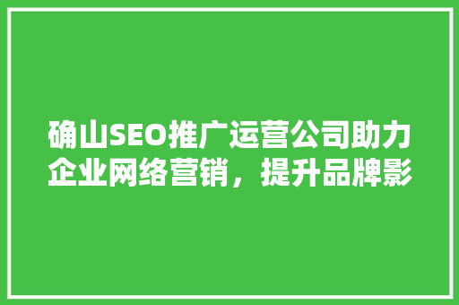 确山SEO推广运营公司助力企业网络营销，提升品牌影响力 百度SEO