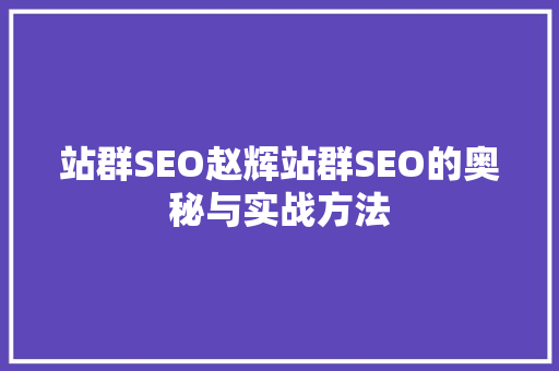 站群SEO赵辉站群SEO的奥秘与实战方法 必应SEO