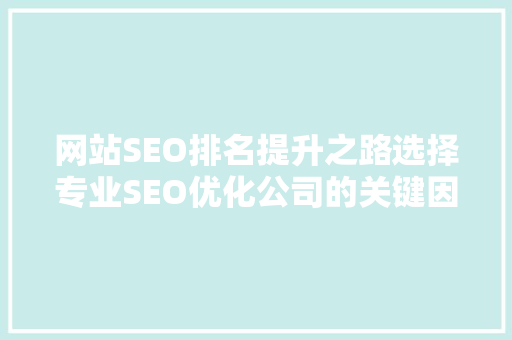 网站SEO排名提升之路选择专业SEO优化公司的关键因素 神马SEO