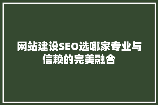 网站建设SEO选哪家专业与信赖的完美融合 搜狗SEO