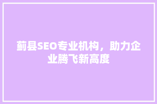 蓟县SEO专业机构，助力企业腾飞新高度 百度SEO