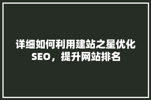 详细如何利用建站之星优化SEO，提升网站排名 百度SEO